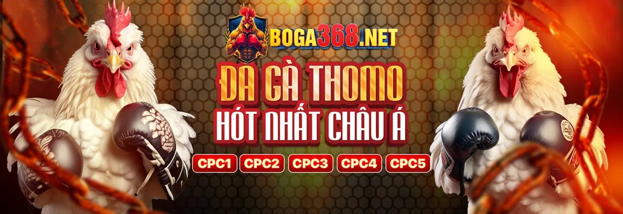 Ứng dụng đá gà trực tiếp 67 thomo trên điện thoại